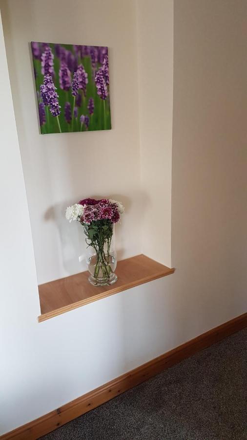 Modern 1 Bed Apartment Close To Campbeltown Eksteriør billede